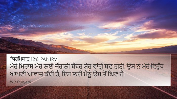 ਯਿਰਮਿਯਾਹ 12:8 PANIRV Bible Verse Image