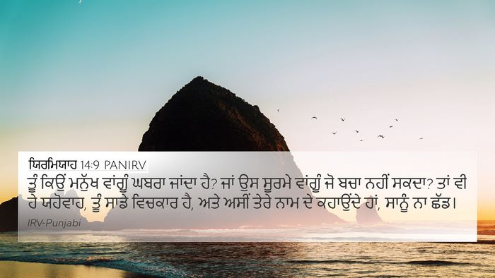 ਯਿਰਮਿਯਾਹ 14:9 PANIRV Bible Verse Image