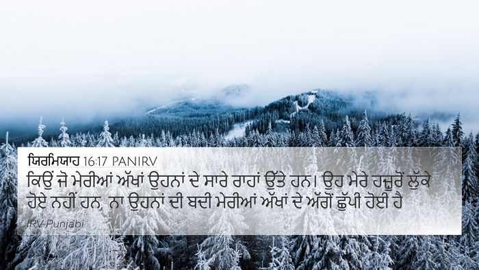 ਯਿਰਮਿਯਾਹ 16:17 PANIRV Bible Verse Image