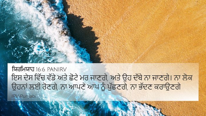ਯਿਰਮਿਯਾਹ 16:6 PANIRV Bible Verse Image