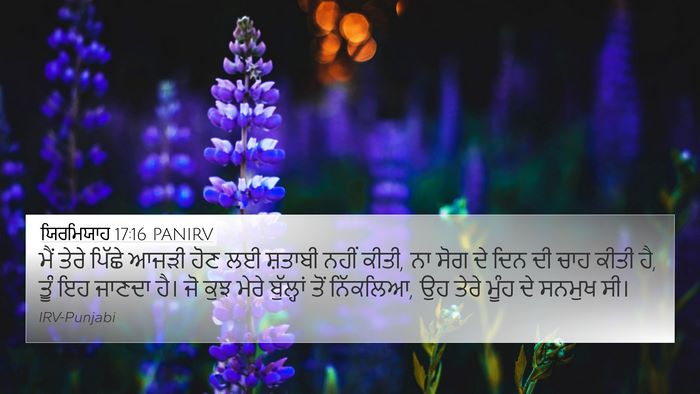 ਯਿਰਮਿਯਾਹ 17:16 PANIRV Bible Verse Image
