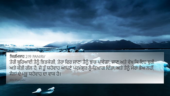 ਯਿਰਮਿਯਾਹ 2:19 PANIRV Bible Verse Image