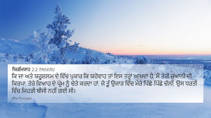 ਯਿਰਮਿਯਾਹ 2:2 PANIRV Bible Verse Image
