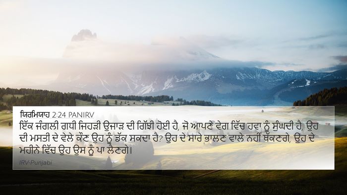 ਯਿਰਮਿਯਾਹ 2:24 PANIRV Bible Verse Image