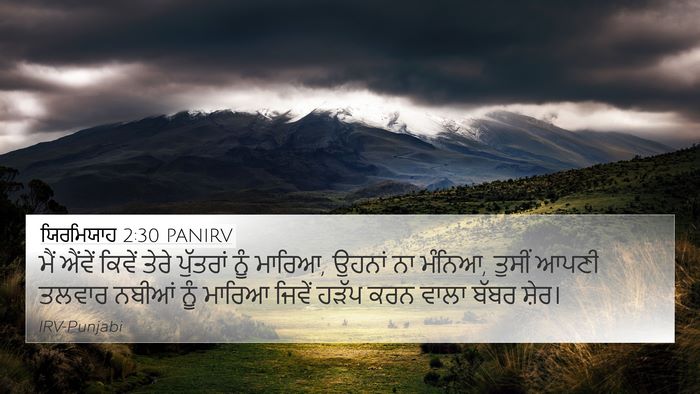 ਯਿਰਮਿਯਾਹ 2:30 PANIRV Bible Verse Image
