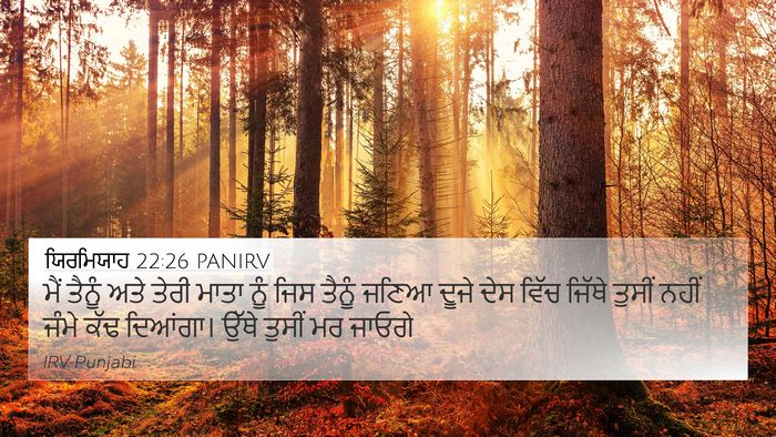 ਯਿਰਮਿਯਾਹ 22:26 PANIRV Bible Verse Image