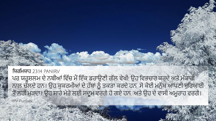 ਯਿਰਮਿਯਾਹ 23:14 PANIRV Bible Verse Image