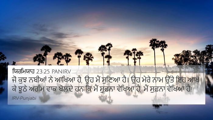 ਯਿਰਮਿਯਾਹ 23:25 PANIRV Bible Verse Image