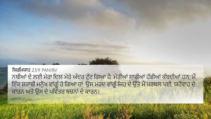 ਯਿਰਮਿਯਾਹ 23:9 PANIRV Bible Verse Image