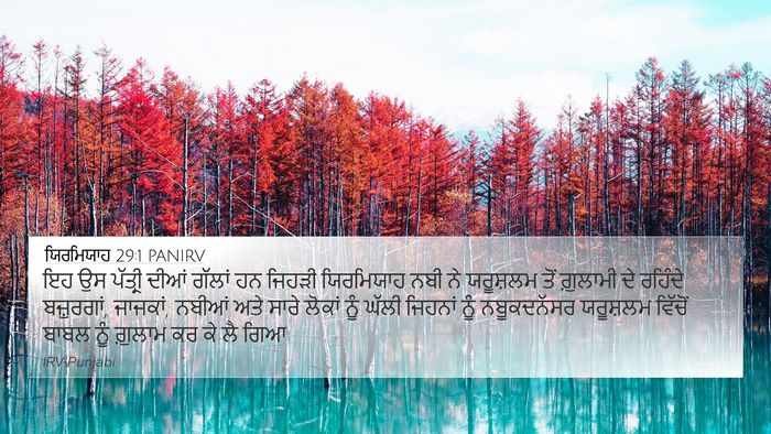 ਯਿਰਮਿਯਾਹ 29:1 PANIRV Bible Verse Image