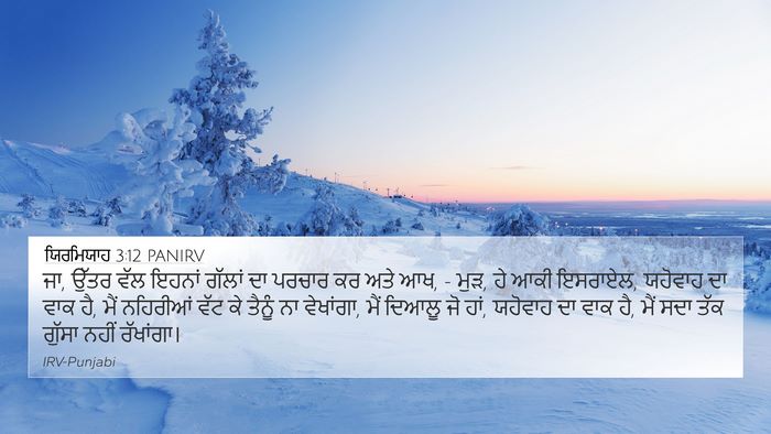 ਯਿਰਮਿਯਾਹ 3:12 PANIRV Bible Verse Image
