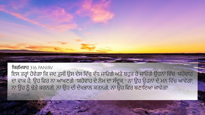 ਯਿਰਮਿਯਾਹ 3:16 PANIRV Bible Verse Image