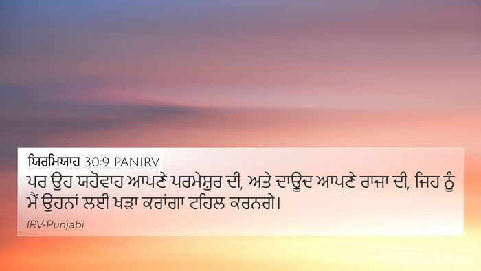 ਯਿਰਮਿਯਾਹ 30:9 PANIRV Bible Verse Image