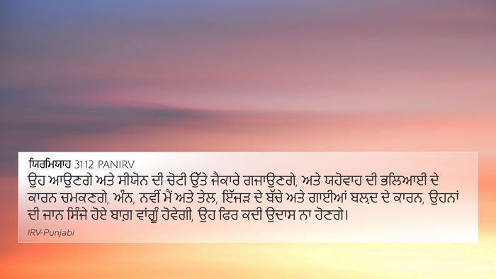 ਯਿਰਮਿਯਾਹ 31:12 PANIRV Bible Verse Image