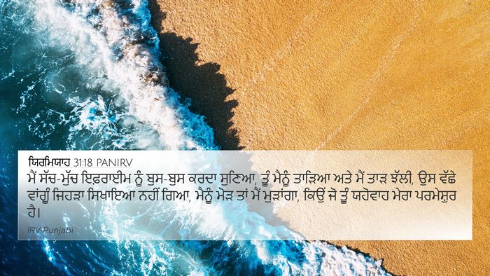 ਯਿਰਮਿਯਾਹ 31:18 PANIRV Bible Verse Image