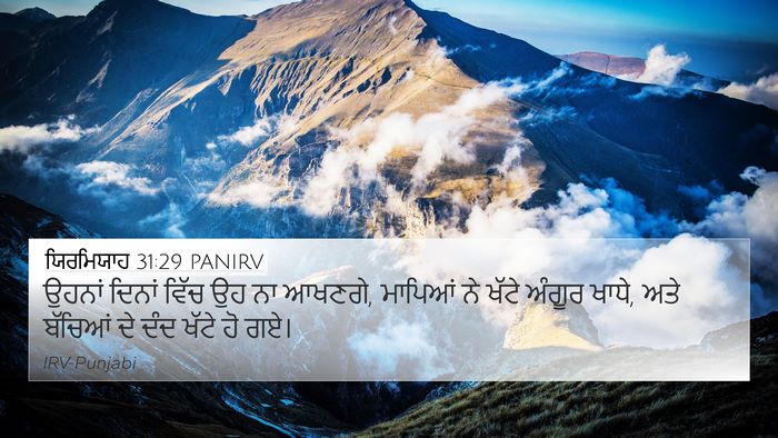 ਯਿਰਮਿਯਾਹ 31:29 PANIRV Bible Verse Image