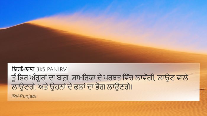 ਯਿਰਮਿਯਾਹ 31:5 PANIRV Bible Verse Image