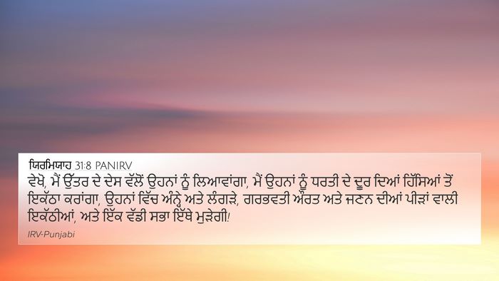 ਯਿਰਮਿਯਾਹ 31:8 PANIRV Bible Verse Image