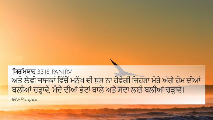 ਯਿਰਮਿਯਾਹ 33:18 PANIRV Bible Verse Image