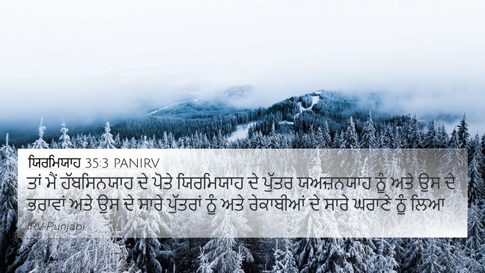 ਯਿਰਮਿਯਾਹ 35:3 PANIRV 4K Wallpaper - ਤਾਂ ਮੈਂ ਹੱਬਸਿਨਯਾਹ - 4K Wallpaper Bible Verse