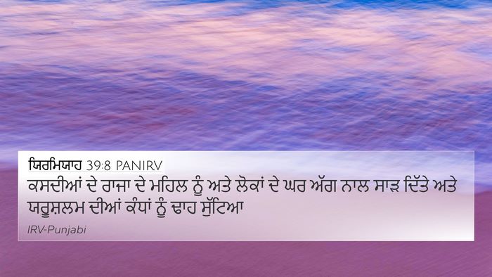 ਯਿਰਮਿਯਾਹ 39:8 PANIRV Bible Verse Image