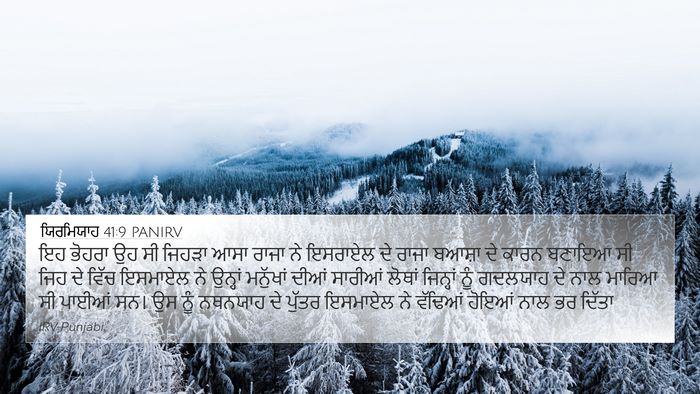 ਯਿਰਮਿਯਾਹ 41:9 PANIRV 4K Wallpaper - ਇਹ ਭੋਹਰਾ ਉਹ ਸੀ - 4K Wallpaper Bible Verse