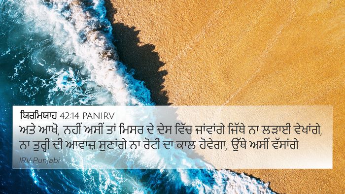 ਯਿਰਮਿਯਾਹ 42:14 PANIRV Bible Verse Image