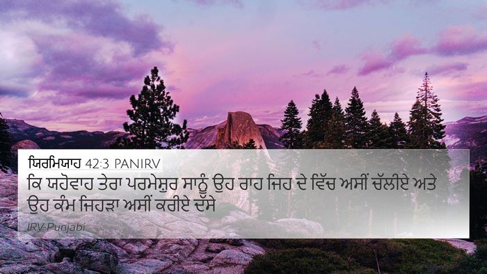 ਯਿਰਮਿਯਾਹ 42:3 PANIRV Bible Verse Image