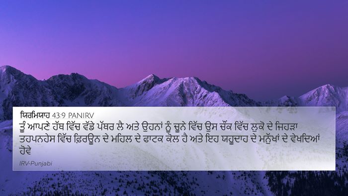 ਯਿਰਮਿਯਾਹ 43:9 PANIRV Bible Verse Image