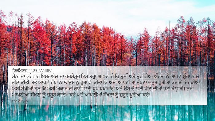 ਯਿਰਮਿਯਾਹ 44:25 PANIRV Bible Verse Image