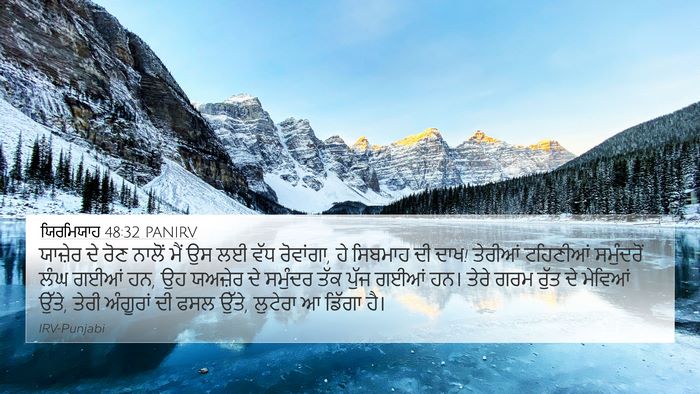 ਯਿਰਮਿਯਾਹ 48:32 PANIRV Bible Verse Image
