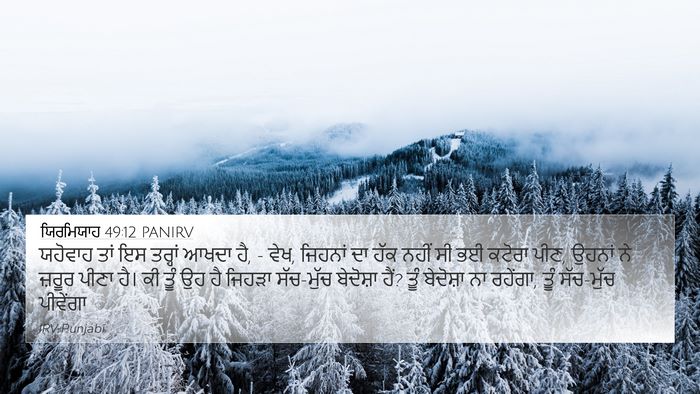 ਯਿਰਮਿਯਾਹ 49:12 PANIRV Bible Verse Image