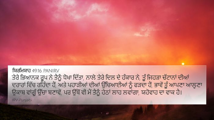 ਯਿਰਮਿਯਾਹ 49:16 PANIRV Bible Verse Image