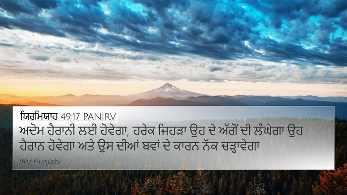 ਯਿਰਮਿਯਾਹ 49:17 PANIRV Bible Verse Image