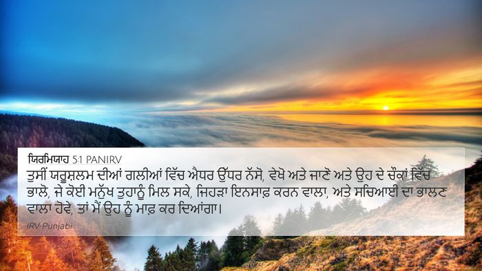 ਯਿਰਮਿਯਾਹ 5:1 PANIRV Bible Verse Image