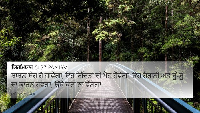 ਯਿਰਮਿਯਾਹ 51:37 PANIRV Bible Verse Image
