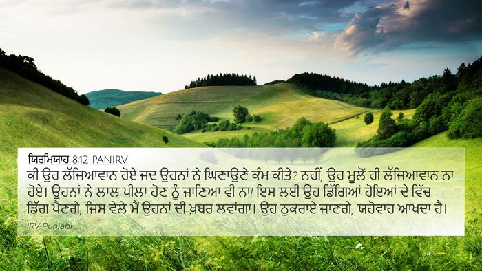 ਯਿਰਮਿਯਾਹ 8:12 PANIRV Bible Verse Image