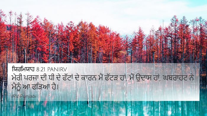 ਯਿਰਮਿਯਾਹ 8:21 PANIRV Bible Verse Image