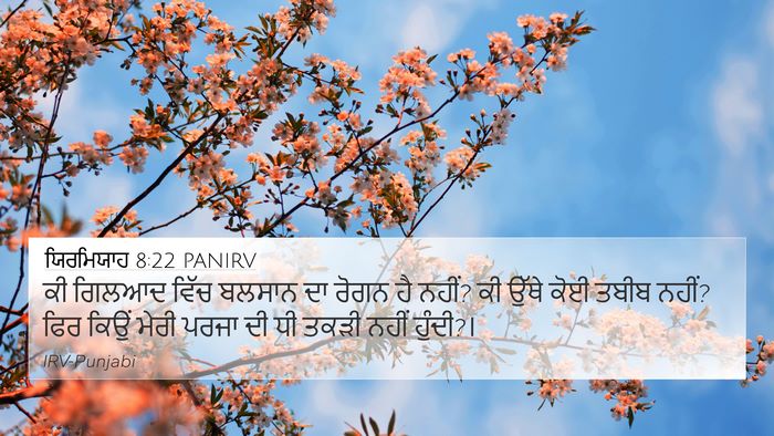 ਯਿਰਮਿਯਾਹ 8:22 PANIRV Bible Verse Image