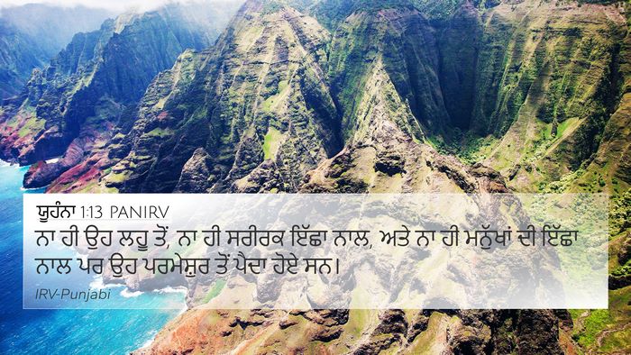 ਯੂਹੰਨਾ 1:13 PANIRV Bible Verse Image