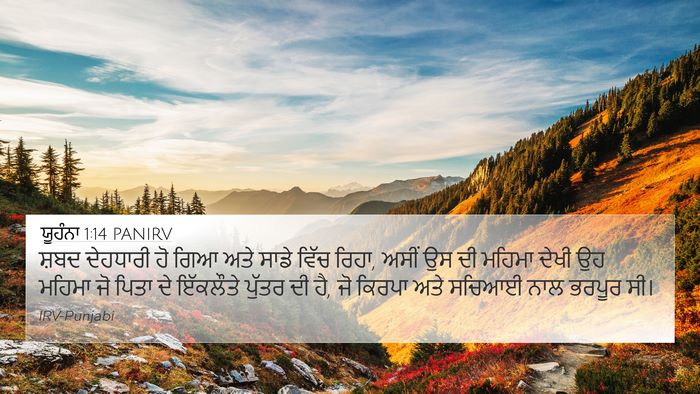 ਯੂਹੰਨਾ 1:14 PANIRV Bible Verse Image