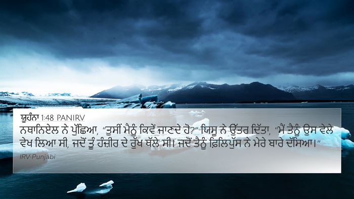 ਯੂਹੰਨਾ 1:48 PANIRV Bible Verse Image