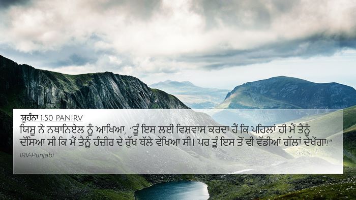 ਯੂਹੰਨਾ 1:50 PANIRV Bible Verse Image