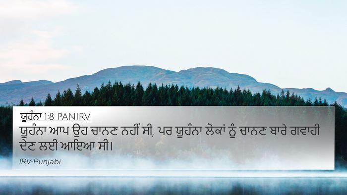 ਯੂਹੰਨਾ 1:8 PANIRV 4K Wallpaper - ਯੂਹੰਨਾ ਆਪ ਉਹ ਚਾਨਣ - 4K Wallpaper Bible Verse