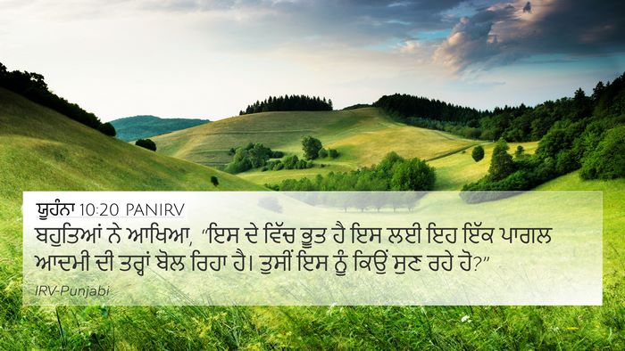 ਯੂਹੰਨਾ 10:20 PANIRV Bible Verse Image