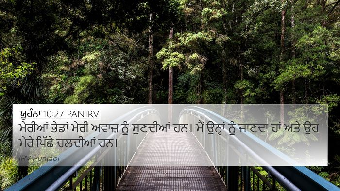 ਯੂਹੰਨਾ 10:27 PANIRV Bible Verse Image