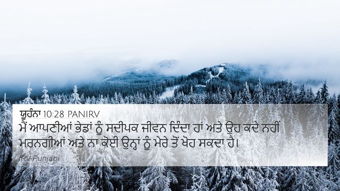 ਯੂਹੰਨਾ 10:28 PANIRV Bible Verse Image
