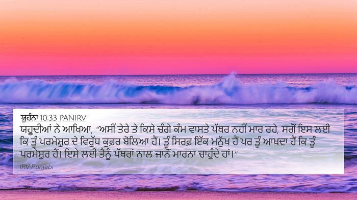 ਯੂਹੰਨਾ 10:33 PANIRV Bible Verse Image