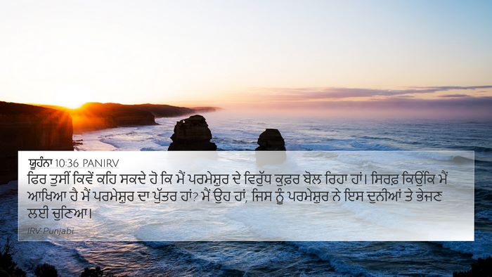 ਯੂਹੰਨਾ 10:36 PANIRV Bible Verse Image