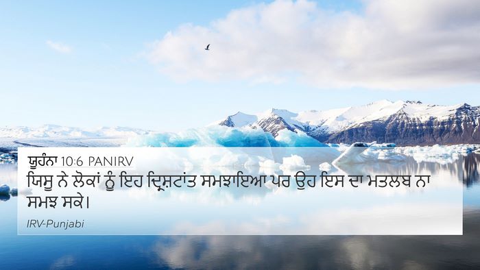 ਯੂਹੰਨਾ 10:6 PANIRV Bible Verse Image